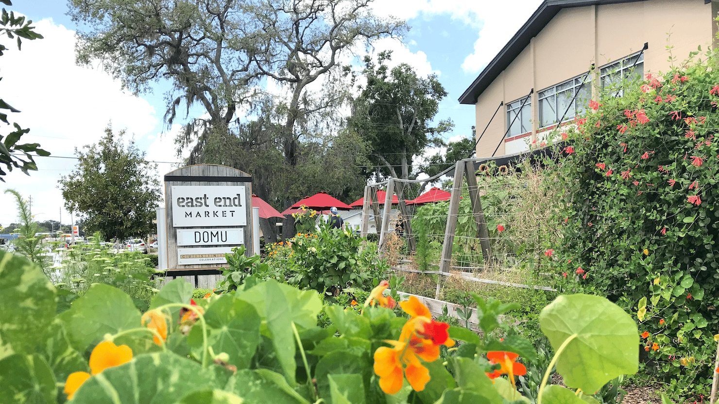 10 Local Things You Have to Do & See in Orlando, FL This Summer